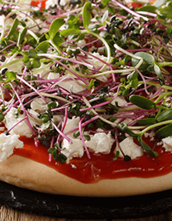 Is It Safe to Eat Broccoli Sprouts For…